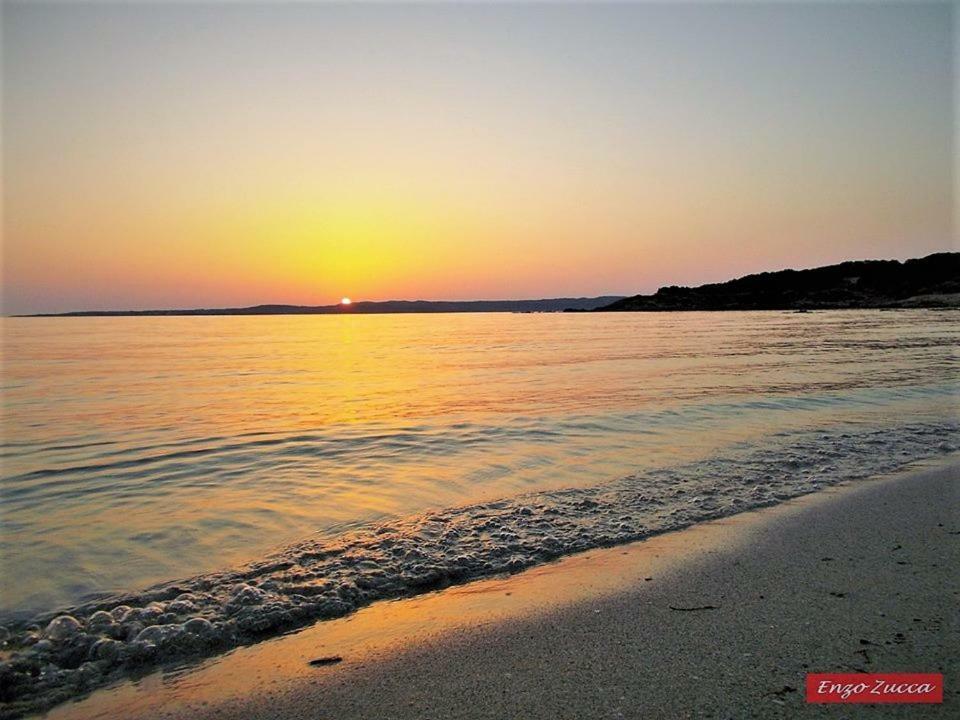 Pineta Spiaggia Grande Calasetta Εξωτερικό φωτογραφία